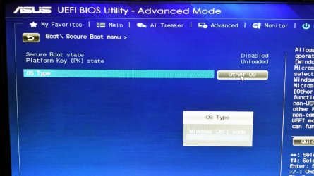 Secure boot options_resize_20140618_104325.jpg