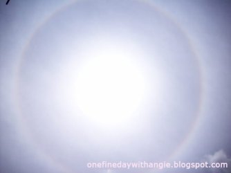 100_4666 copy.jpg
