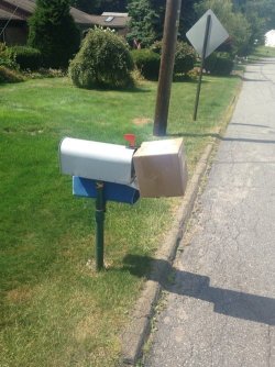 balancing act.jpg