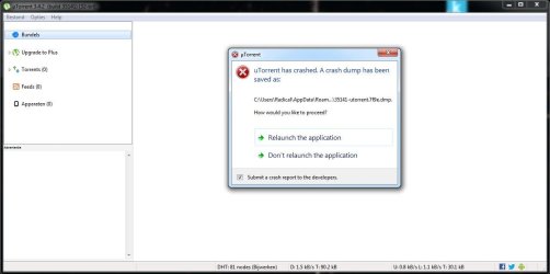 Utorrent crash.JPG