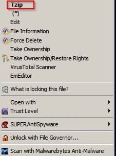 Tzip3.jpg