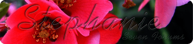 Spring Flowers Display.png