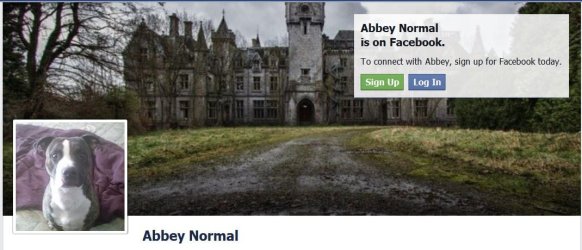 abby n.JPG abby n.JPG