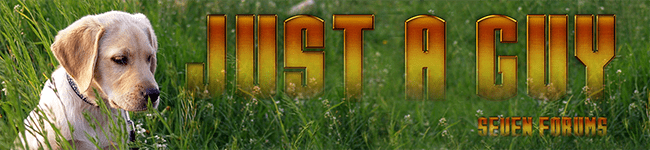 Just A Guy display.png