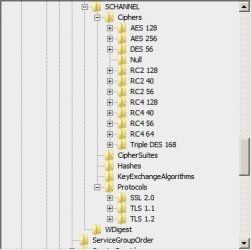 Protocols.jpg