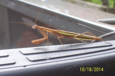 100_3009.JPG 100_3009.JPG