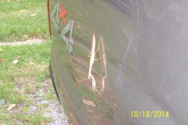 100_3014.JPG 100_3014.JPG