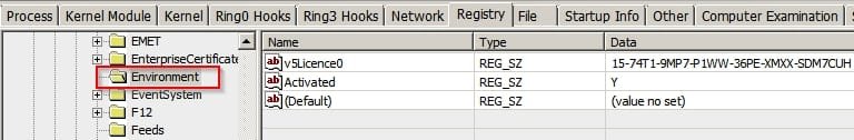 Environment-Registry Editor 4.jpg