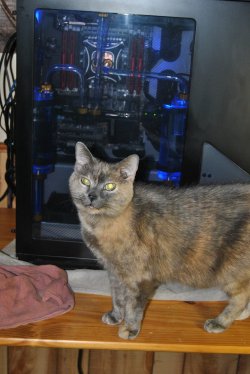 DSC_0021.JPG