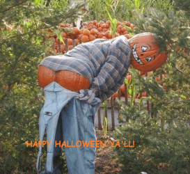 HAPPY HALLOWEEN YA'LL.png