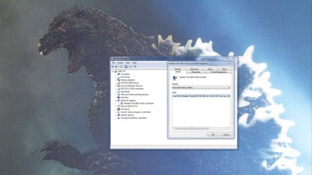 Realtek Network Adapter - Snapshot.JPG
