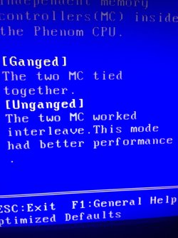 mobo.jpg