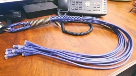 Cat 5 of 9 tails.jpg