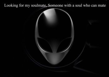 Soul Mate.jpg