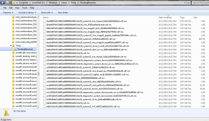 WinsxsTempPendingRenames-09Dec14.png