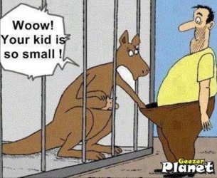 1411842222808-c11[1].jpg