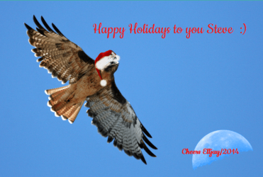 happy holidays to you steve 2014.PNG