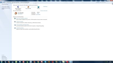 Net connection Online,but can't connect with Browser,Steam,Raptr...jpg