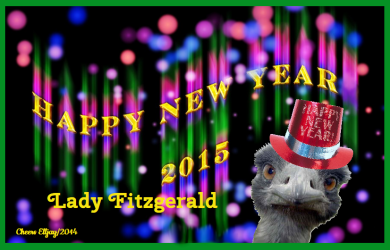 LADY FITZGERALD 2015 HAPPY NEW YEAR.PNG