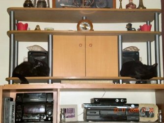 DSCN1007a.JPG