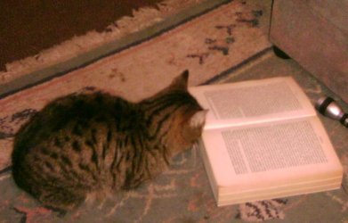 Junior reading 1a.jpg