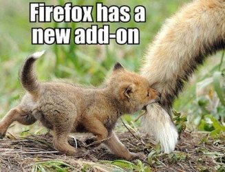 FF Addon.jpg FF Addon.jpg