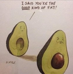 avocado-good-fat-relationship.jpg