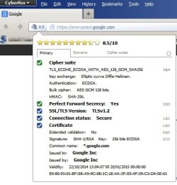 SSL Cyberfox Google 2.jpg SSL Cyberfox Google 2.jpg