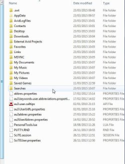 copied files.jpg