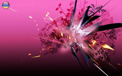 pinkwall321.jpg