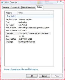 File specs.JPG