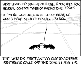 the_search.png the_search.png