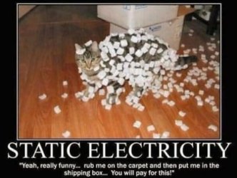 Really-Funny-Pictures-4.jpg