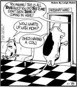 Having a cow.jpg