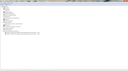 screen shot of device manager.png