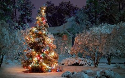 christmas2011wallpapercollection11[1].jpg