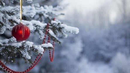 christmas2011wallpapercollection13[1].jpg