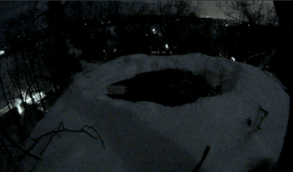 2015-03-05_2142.png