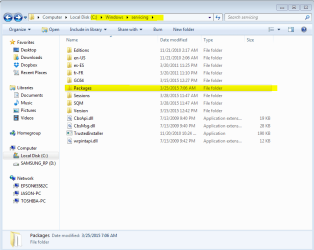Windows Servicing & Packages subfolders.PNG