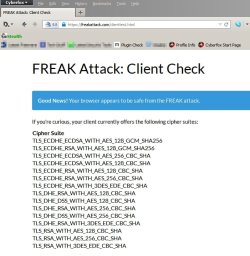 Client Check - Cyberfox.jpg