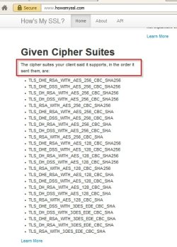 How's My SSL.jpg