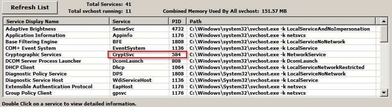 svchost Lookup.jpg