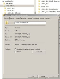Sub-folder Properties.JPG