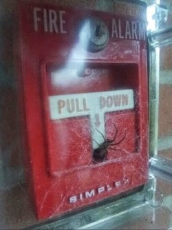 go ahead, give it a pull.jpg