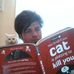 Cat_Plotting_To_Kill.jpg