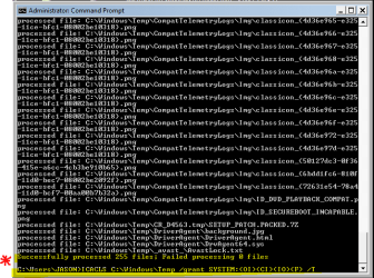 ICACLS Run with ECP IN SAFE MODE for NoelDP.PNG