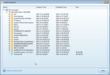 2015-06-13 19_34_33-Partition Explorer.png