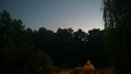 WP_20150614_003.jpg