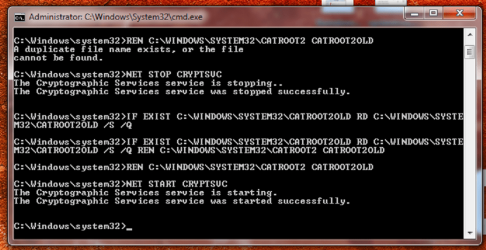catroot3.png