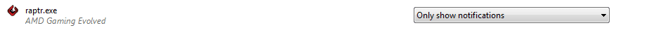 raptr exe.PNG